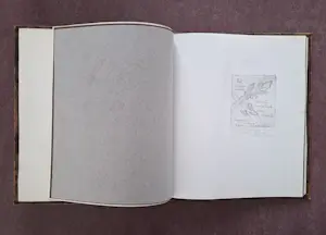 Nathalie van den Eerenbeemt - Het ironies-eroties kastanje-prentenboek kopen? Bied vanaf 400!