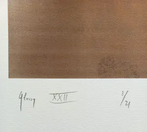 Rob Scholte - Glossy XXII, piëzografie (groot, kleine oplage) kopen? Bied vanaf 250!