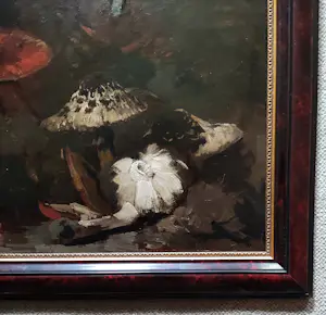 Theo Goedvriend - Paddenstoelen kopen? Bied vanaf 270!