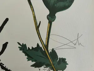 Salvador Dali - SUMMER - épreuve d'artiste - 1986 kopen? Bied vanaf 550!