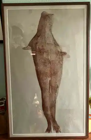 Joseph Beuys - Zeldzame Grote lithografie "Robbe", 11/100 provenance Christie's kopen? Bied vanaf 2199!