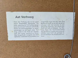 Aat Verhoog - Paard kopen? Bied vanaf 50!