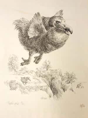 Peter Vos - Dodo; een uitgestorven vogel verkocht voor € 90!