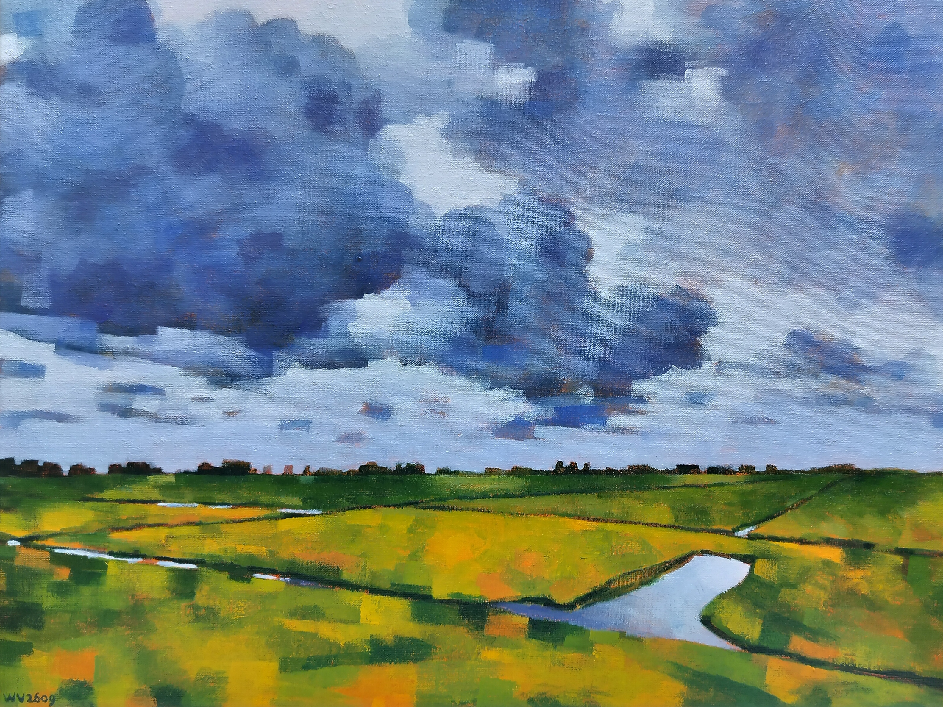 Willem Visser - Polderlandschap Midden-Delfland kopen? Bied vanaf 160!