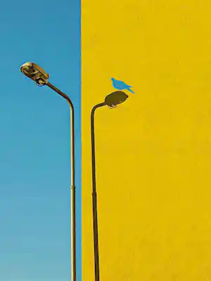 Mr Strange - De blauwe vogel verkocht voor € 85!