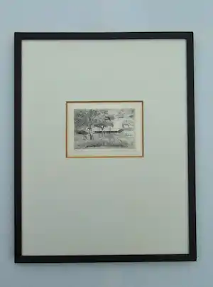 Theo Hoogewerf - Wilde kersen Ardennen verkocht voor € 36!