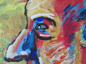 Witold Abako - Cholera! Tod Zuma! kopen? Bied vanaf 25!