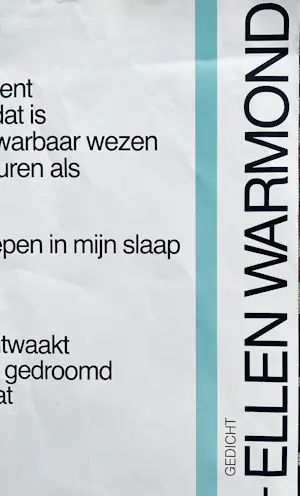 Co Westerik - Pentekening en Ellen Warmond, gedicht JE BENT kopen? Bied vanaf 20!