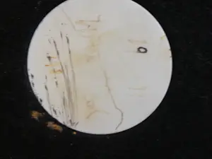 Paul Wunderlich - Paul Wunderlich A Deux kopen? Bied vanaf 600!