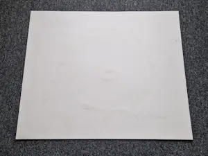 Jan Hofman - handgekleurde -eigen druk- reliëf Ets "blik op 2000" zeer kleine oplage (20) kopen? Bied vanaf 41!