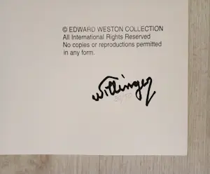 László Willinger - Marilyn Monroe - Pin-up, 1948 - signiert kopen? Bied vanaf 800!