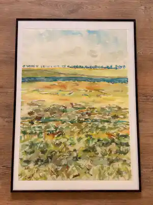 Tonnis de Boer - Aduarderzijl kopen? Bied vanaf 100!