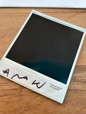 Nobuyoshi Araki - Originele gesigneerde polaroid kopen? Bied vanaf 150!