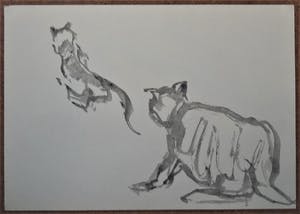 Phil Grisel - 2 Kattentekeningen (1 aquarel + 1 gewassen oost-indische inkttekening). kopen? Bied vanaf 50!