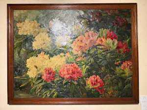 Léonie Mottart-van Marcke - Chrysanthèmes kopen? Bied vanaf 949!