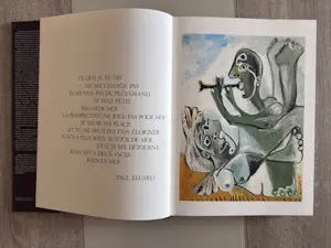 Pablo Picasso - 1945-1973 - Klaus Gallwitz - éditions Denoël kopen? Bied vanaf 35!