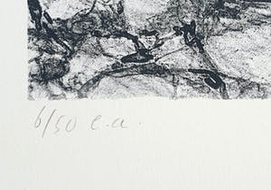 Eric de Nie - Litho: 'Zelfschaduw' kopen? Bied vanaf 55!
