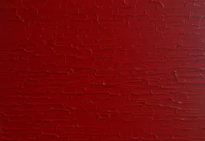 Bruno CANTAIS - Red Power kopen? Bied vanaf 370!