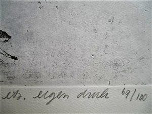 Peter Bol - Grote & gedetailleerde Ets "Het verstoorde geluk" 1973 - gesigneerd kopen? Bied vanaf 38!