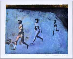 Jan Vanriet - Zeefdruk, Gesigneerd, 47x58 cm, 1992 kopen? Bied vanaf 90!