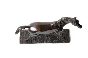 Irénée Rochard - Paard in draf kopen? Bied vanaf 1750!