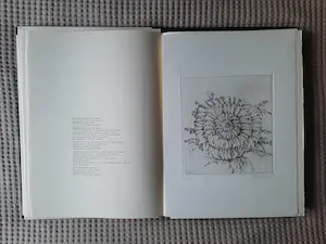John van Kooten - "Koninklijke kunst" | portfolio met 16 etsen kopen? Bied vanaf 10!