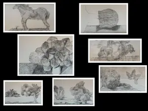 Max Ernst - Map met 34 werken: Histoire Naturelle - 1972 kopen? Bied vanaf 499!
