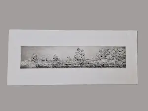Gerard van Rooy - grote "panorama" Ets (vd drukker) "oud Erf" - beperkte oplage (28/75) kopen? Bied vanaf 40!
