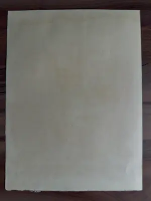 Maurice Elie Sarthou - Lithographie originale illustrant les écrits d'Arthur Rimbaud kopen? Bied vanaf 85!