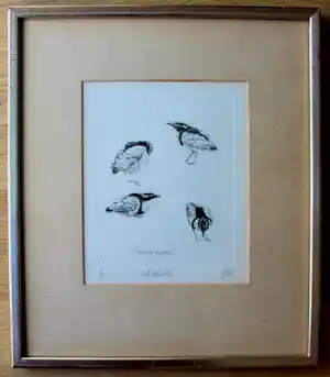 Peter Vos - Ingelijste ets: Krokodillewachter - 1977 verkocht voor € 195!