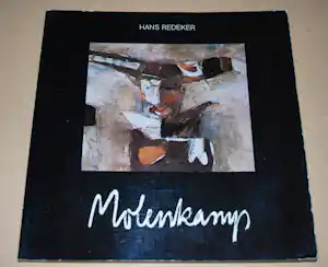 Nico Molenkamp - monografie 1978 > gesigneerd < kopen? Bied vanaf 30!