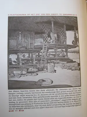 Antiquarisch Boek - WOJ Nieuwenkamp Zwerftochten op Bali. kopen? Bied vanaf 50!