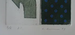 Thomas Ankum - Zonder Titel, ets, oplage 2 ex., 1993 gesigneerd/genummerd, mint kopen? Bied vanaf 55!