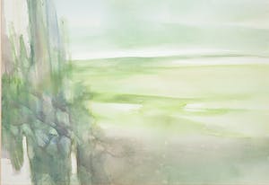 Wim de Bruin - Aquarel, de Biesbosch kopen? Bied vanaf 40!