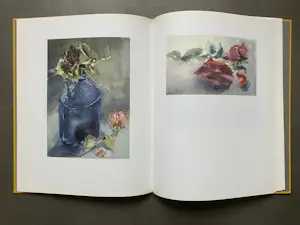Fon Klement - Aquarellen - hardcover boek kopen? Bied vanaf 20!