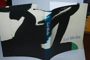 Lei Molin - hardcover in cassette, met zeefdruk 178/250, handgesigneerd kopen? Bied vanaf 150!
