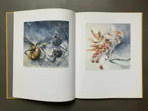 Fon Klement - Aquarellen - hardcover boek kopen? Bied vanaf 20!