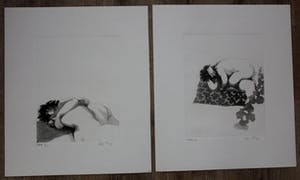 Rob Cox - 2 etsen - grafiek erotiek 1978/1979 kopen? Bied vanaf 70!
