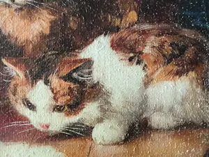 Niet of onleesbaar gesigneerd - Spelende katten kopen? Bied vanaf 10!