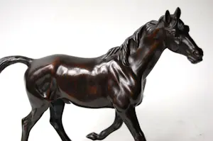 Irénée Rochard - Paard in draf kopen? Bied vanaf 1750!