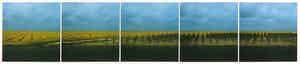 Ger Dekkers - Fotocollage, Field of cole-seed, Flevoland - Ingelijst verkocht voor € 130!