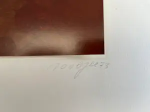 Pjeroo Roobjee - door het volk - met het volk kopen? Bied vanaf 99!