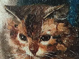Niet of onleesbaar gesigneerd - Spelende katten kopen? Bied vanaf 10!