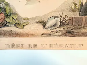 Victor Jules Levasseur - Illustrierter Nationalatlas (Südregion 21) – ca. 1845–1856 kopen? Bied vanaf 200!