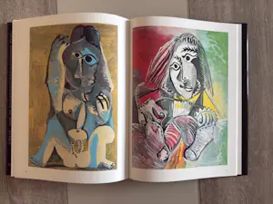 Pablo Picasso - 1945-1973 - Klaus Gallwitz - éditions Denoël kopen? Bied vanaf 35!