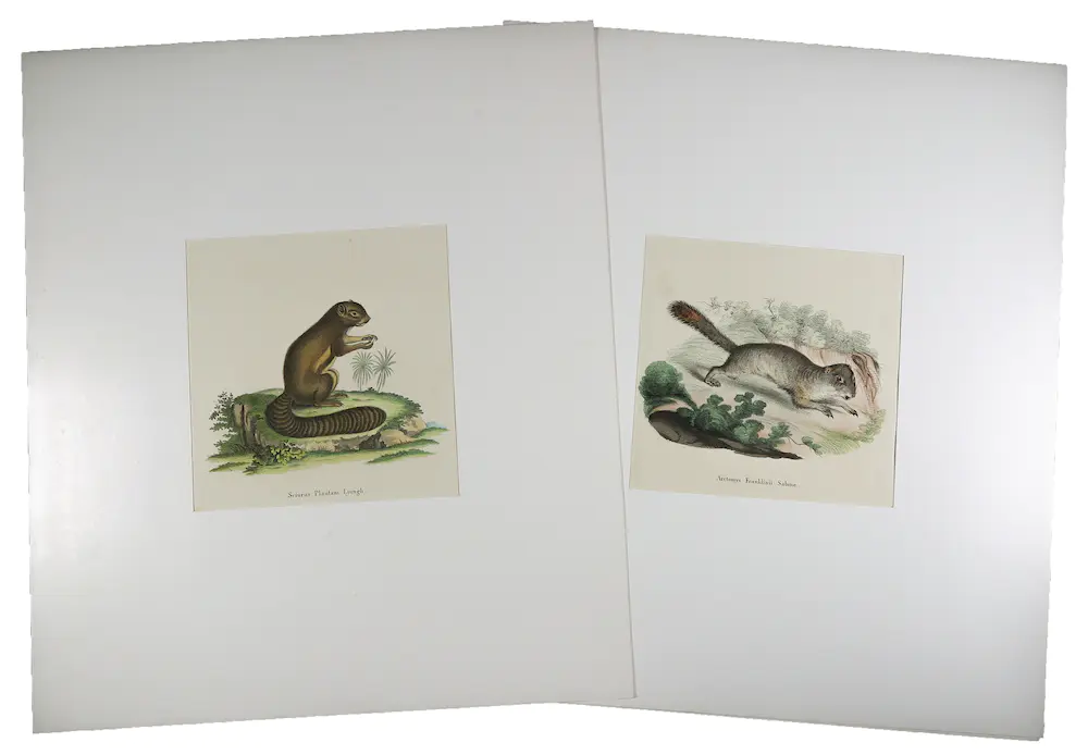Thomas Landseer (1795-1880)