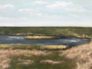 Niet of onleesbaar gesigneerd - 2x landschap Terschelling | 2x olieverf schilderijen (ingelijst) kopen? Bied vanaf 1!