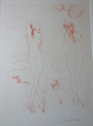 Salvador Dali - Espejo Vivo kopen? Bied vanaf 1600!