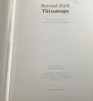 Berend Strik - Thixotropy kopen? Bied vanaf 30!
