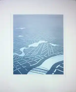 Jeroen Henneman - Litho, Nederlands landschap vanuit vogelvluchtperspectief verkocht voor € 100!